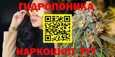 эйфоретик Будённовск